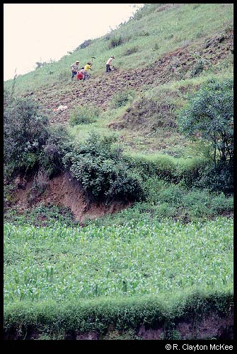 plowing the hillside