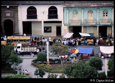 Chimbo Market