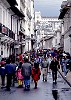 Quito Street - San Francisco