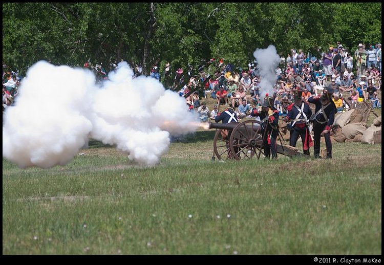 Mexican Artillery